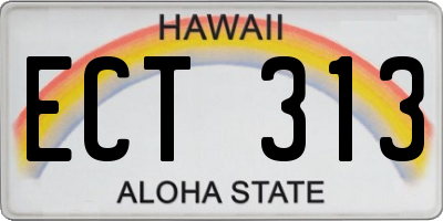 HI license plate ECT313