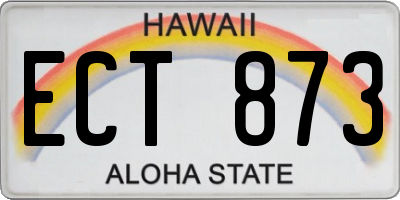 HI license plate ECT873