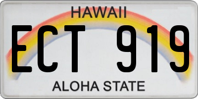 HI license plate ECT919