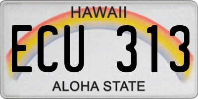HI license plate ECU313