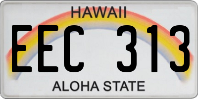 HI license plate EEC313