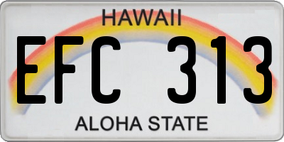 HI license plate EFC313