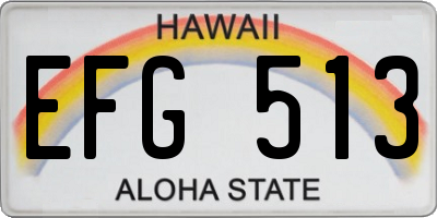 HI license plate EFG513