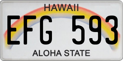 HI license plate EFG593
