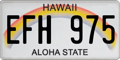 HI license plate EFH975