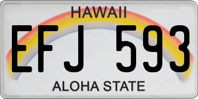HI license plate EFJ593