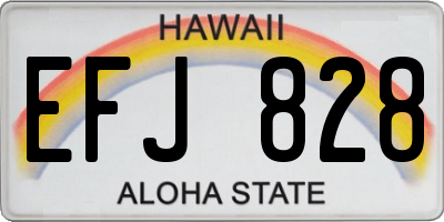 HI license plate EFJ828