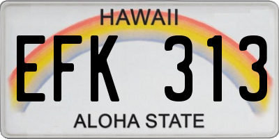 HI license plate EFK313