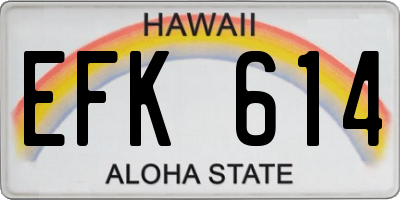 HI license plate EFK614