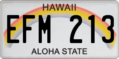 HI license plate EFM213