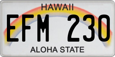 HI license plate EFM230