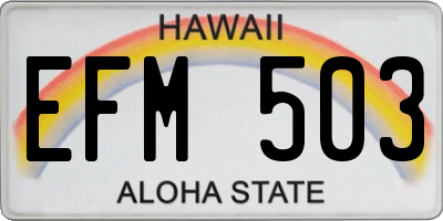 HI license plate EFM503