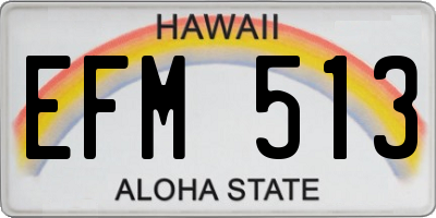 HI license plate EFM513