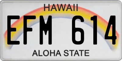 HI license plate EFM614