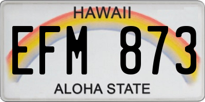 HI license plate EFM873