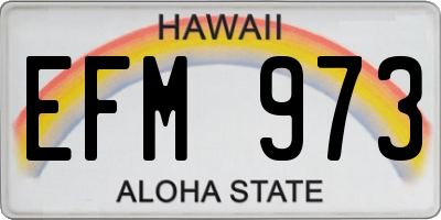 HI license plate EFM973
