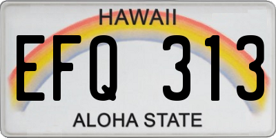 HI license plate EFQ313