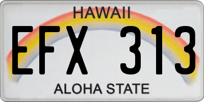 HI license plate EFX313