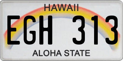 HI license plate EGH313