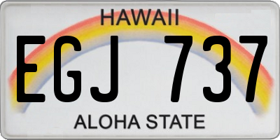 HI license plate EGJ737