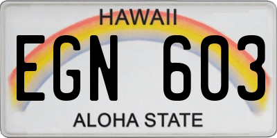 HI license plate EGN603