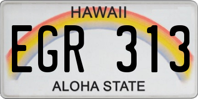 HI license plate EGR313