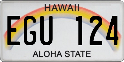 HI license plate EGU124