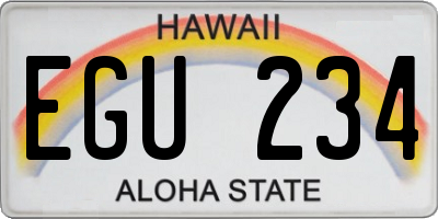 HI license plate EGU234