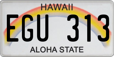 HI license plate EGU313