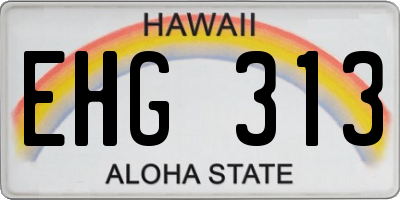 HI license plate EHG313