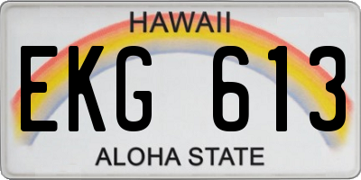 HI license plate EKG613