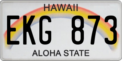 HI license plate EKG873