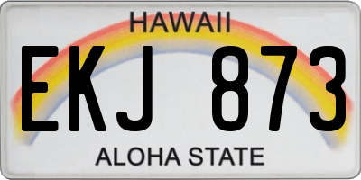 HI license plate EKJ873