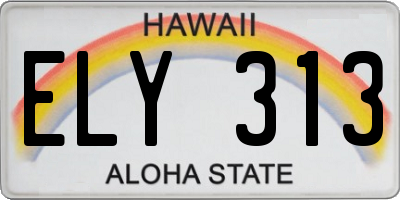 HI license plate ELY313