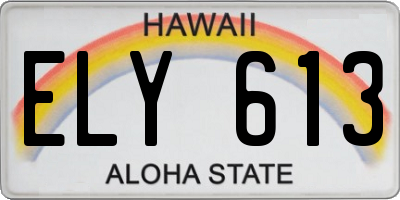 HI license plate ELY613