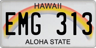 HI license plate EMG313