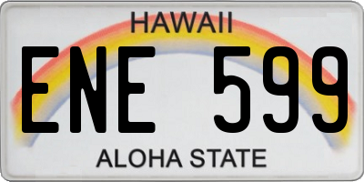 HI license plate ENE599