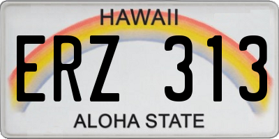HI license plate ERZ313