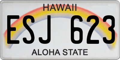 HI license plate ESJ623