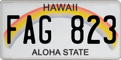 HI license plate FAG823