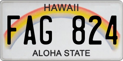 HI license plate FAG824