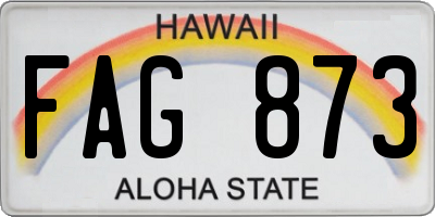 HI license plate FAG873