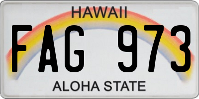 HI license plate FAG973