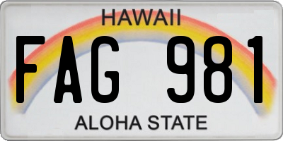 HI license plate FAG981