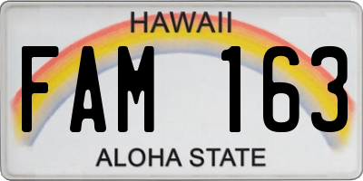 HI license plate FAM163