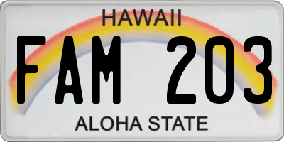 HI license plate FAM203