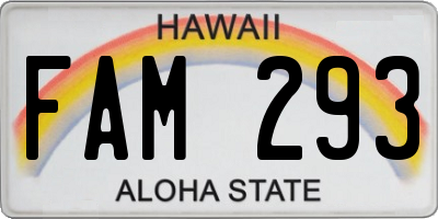 HI license plate FAM293