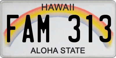 HI license plate FAM313
