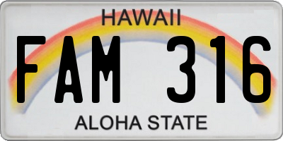 HI license plate FAM316