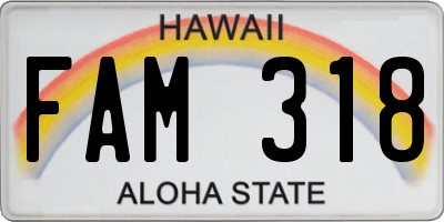 HI license plate FAM318